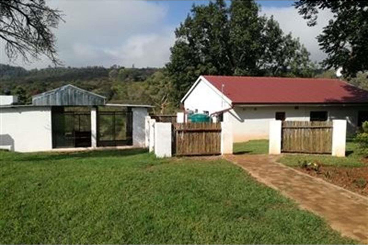 14,5 Ha plaas te koop in Louis Trichardt - Photo 4
