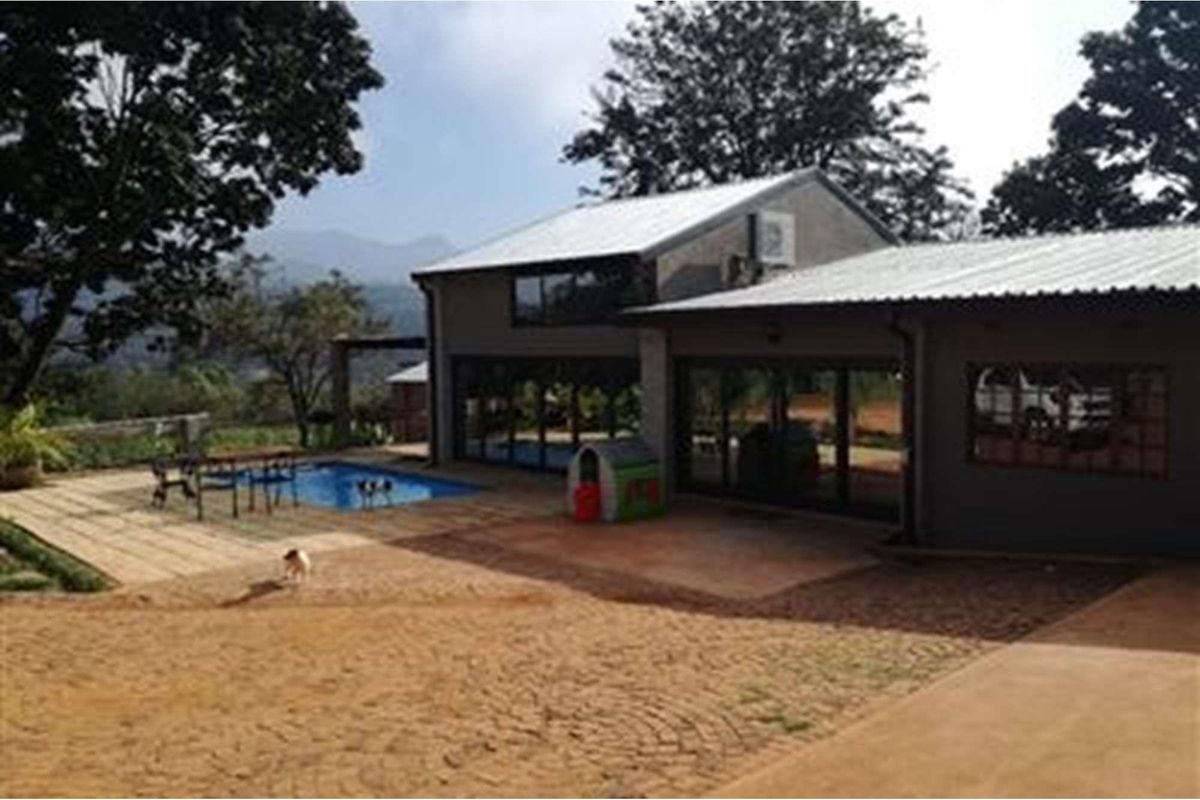 A rear view of the farm property featuring a swimming pool, paved patio area, and modern building structure with large glass sliding doors.