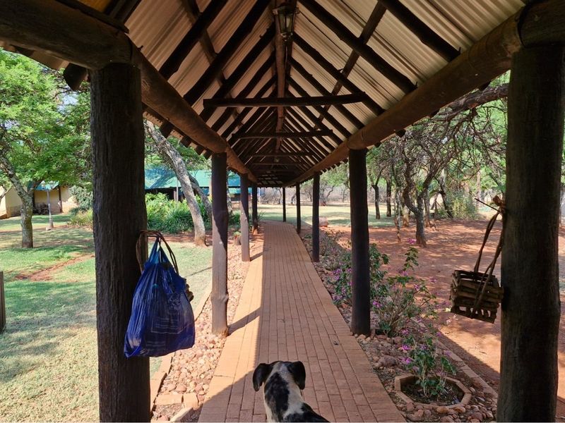 "Idyllic Land with Modern Home in Doringkruin" - Photo 6