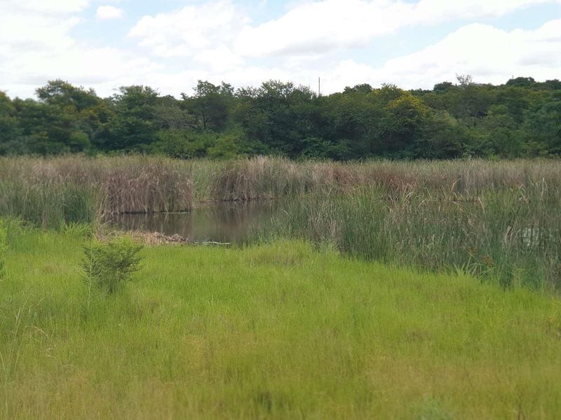 37 HA farm for sale in Tzaneen - Photo 8