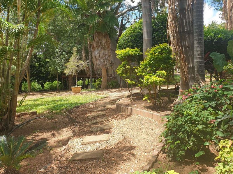 37 HA farm for sale in Tzaneen - Photo 4