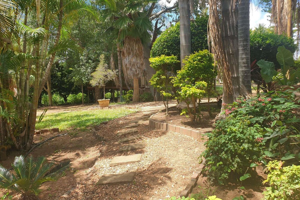 37 HA farm for sale in Tzaneen - Photo 4