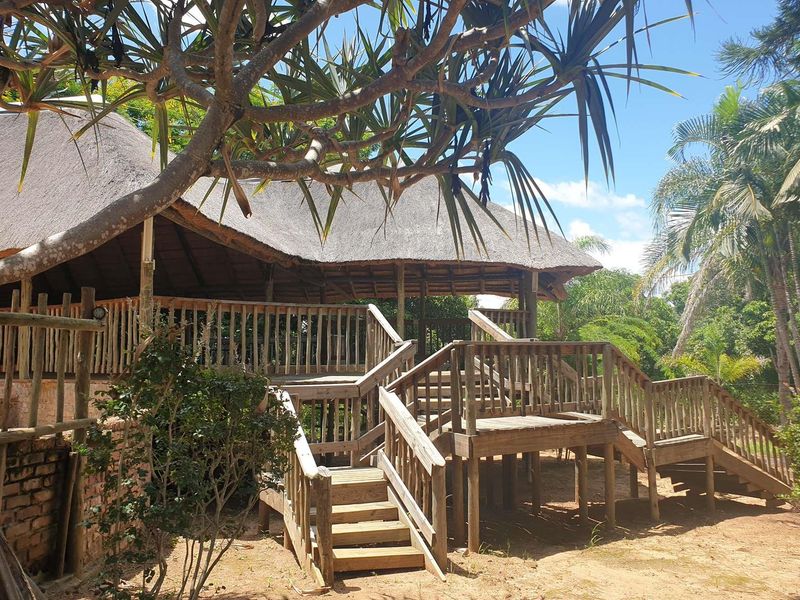 37 HA farm for sale in Tzaneen - Photo 5