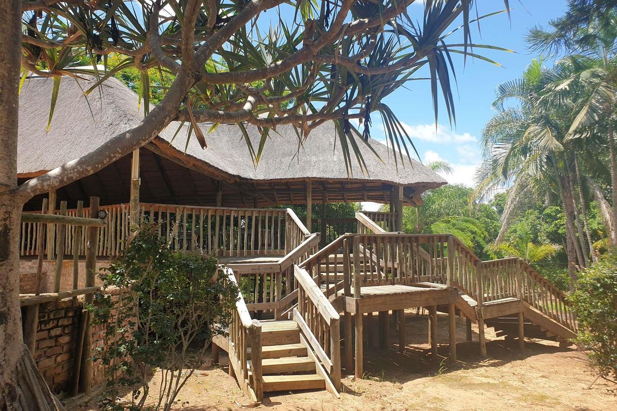 37 HA farm for sale in Tzaneen - Photo 5