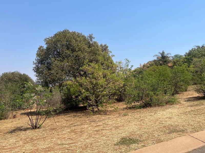 A view of a vacant residential plot featuring established trees and natural vegetation, offering a blank canvas for future development.