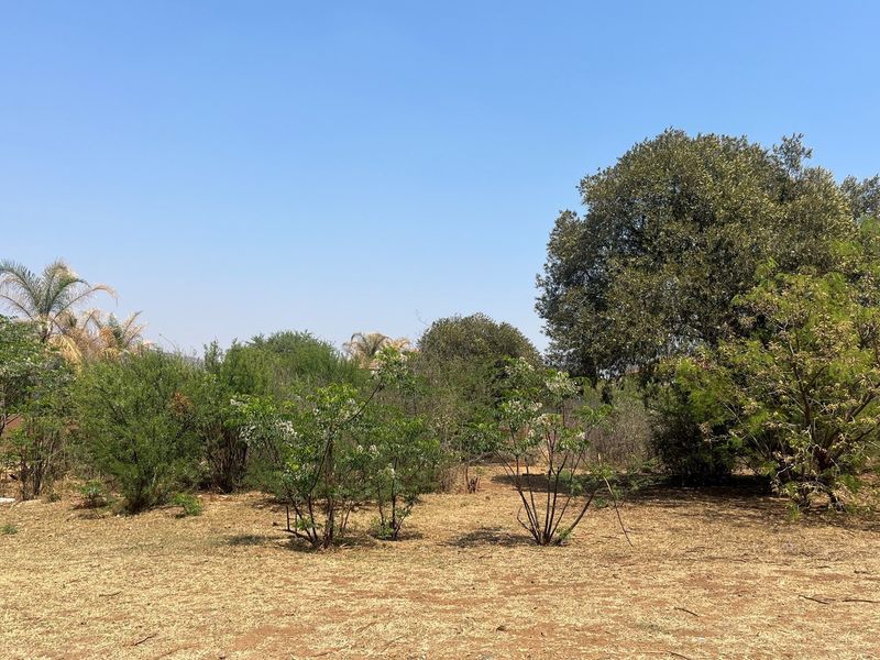A view of the vacant residential land featuring established trees and natural vegetation across the plot.