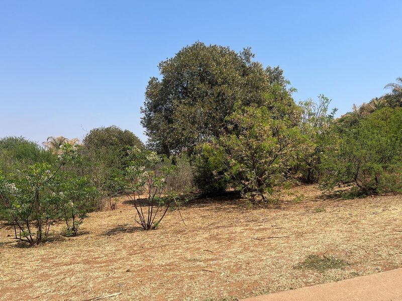 A view of the vacant residential land featuring established trees and natural vegetation across the plot.