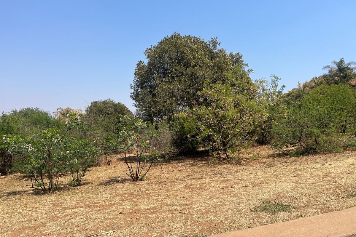 A view of the vacant residential land featuring established trees and natural vegetation across the plot.