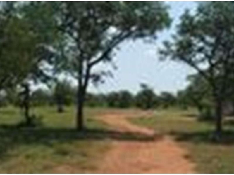 A view of the expansive farm landscape featuring natural vegetation and a dirt access track.