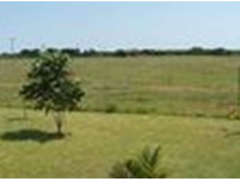 A wide, open landscape view overlooking the expansive farm property with natural grass fields and distant horizon.