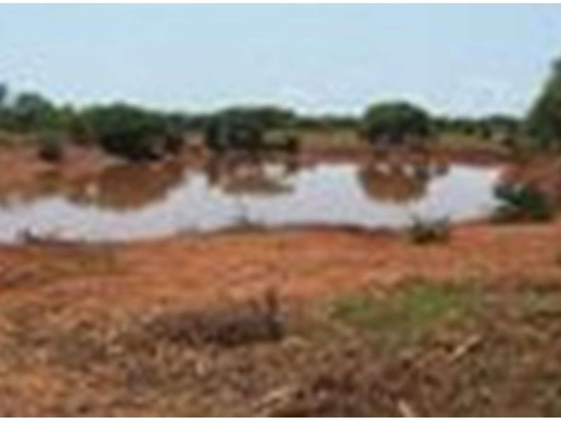 A natural farm dam surrounded by open landscape and native vegetation, providing a water source for the property.