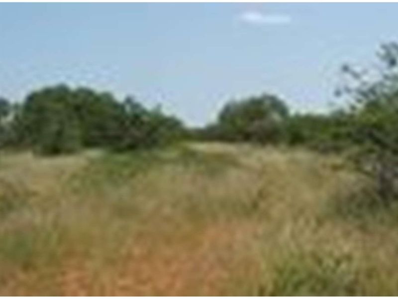 A view of the expansive, undeveloped natural landscape and open veld characteristic of the farm property.