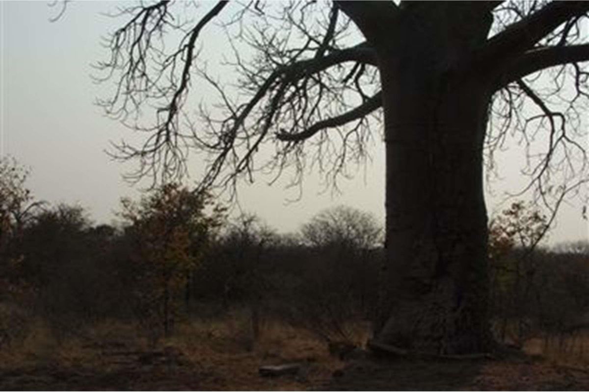 5000 Ha Game farm for sale in Musina - Photo 3
