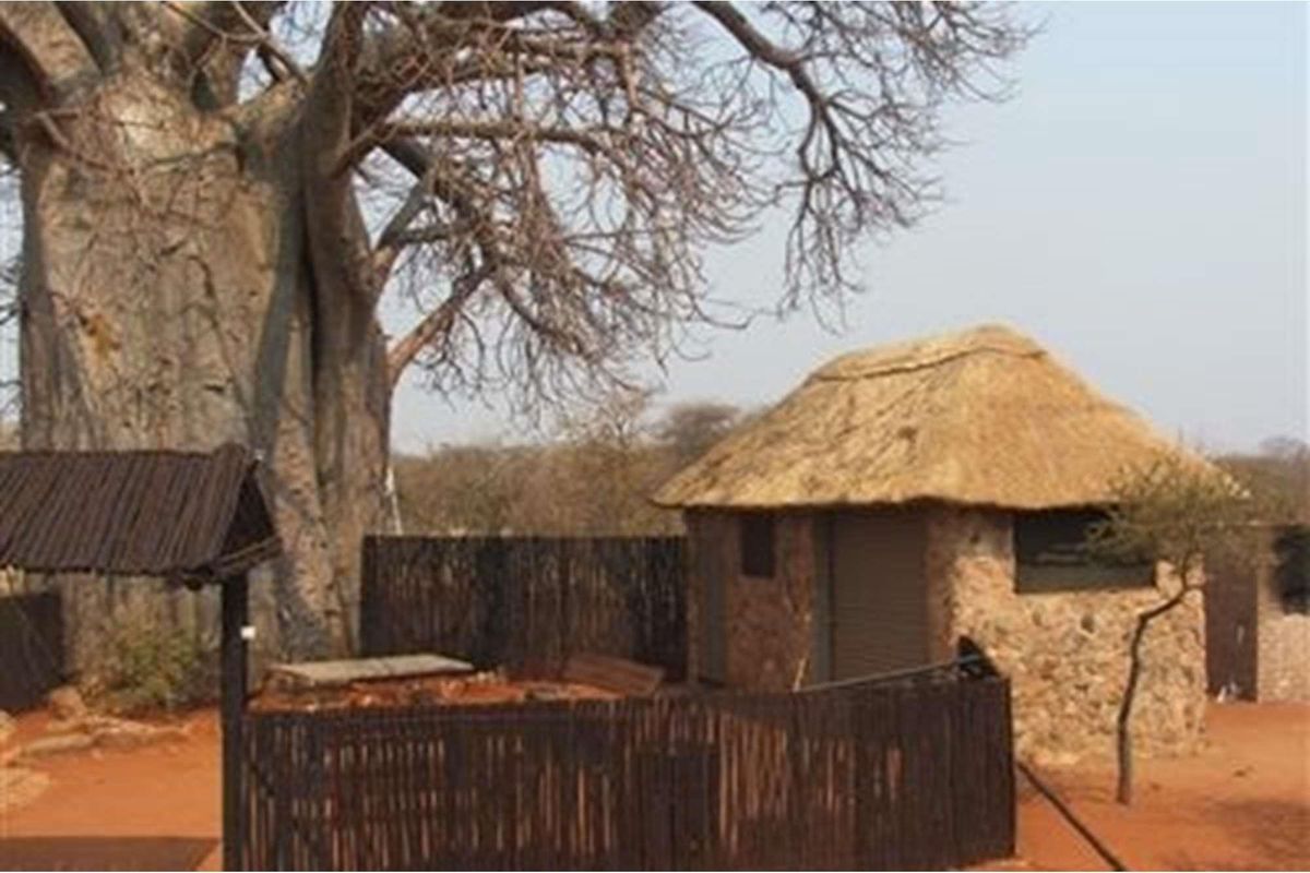 5000 Ha Game farm for sale in Musina - Photo 5