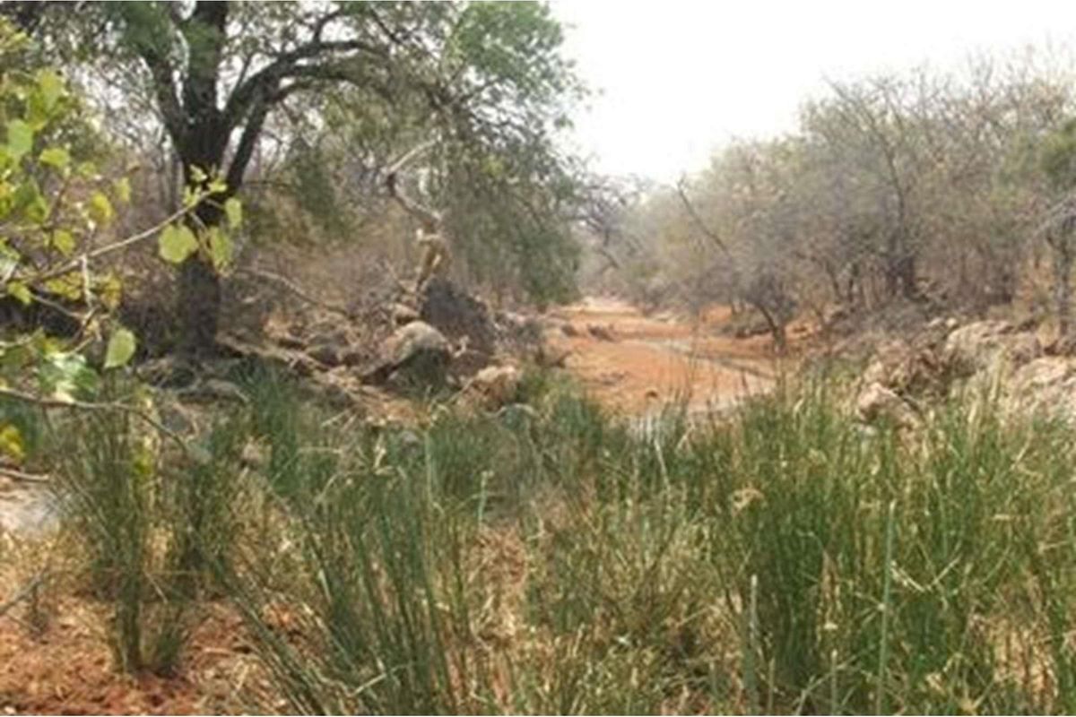 5000 Ha Game farm for sale in Musina - Photo 2