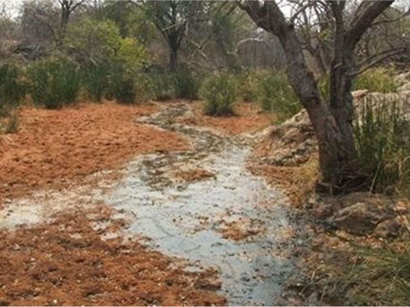 A natural landscape view featuring a small stream flowing through the farm grounds, surrounded by indigenous trees and vegetation.