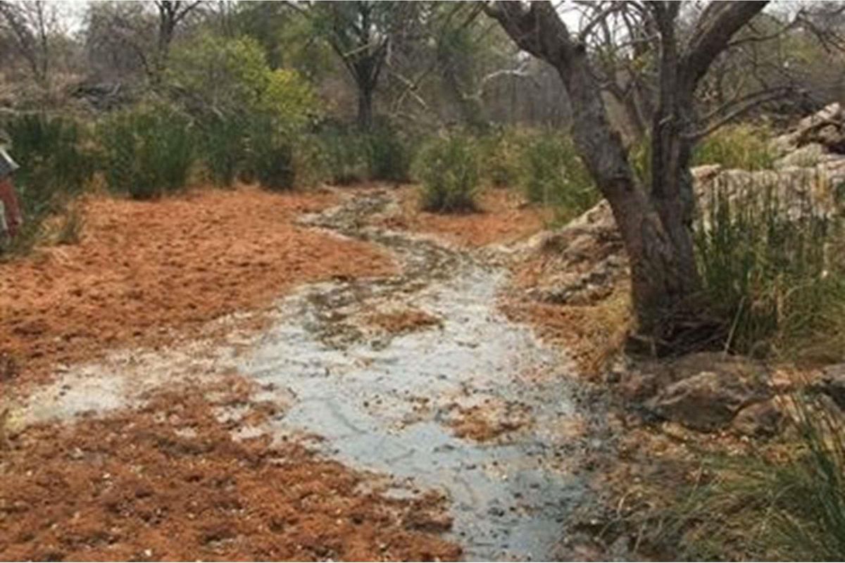 A natural landscape view featuring a small stream flowing through the farm grounds, surrounded by indigenous trees and vegetation.