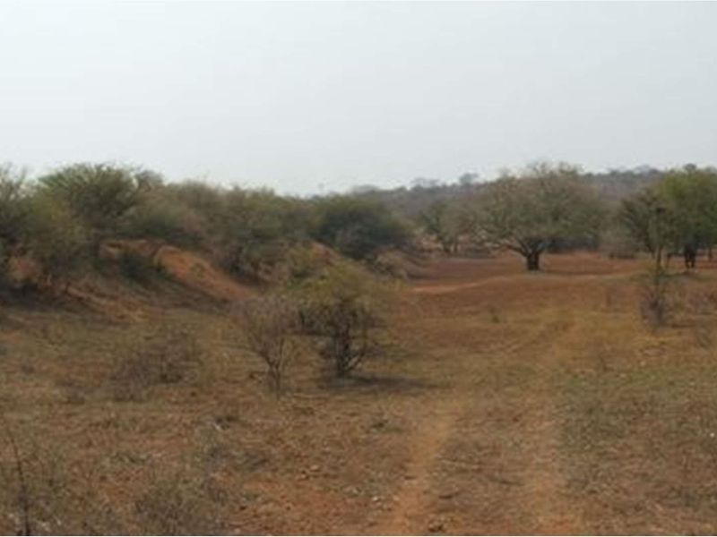 A wide-angle view of the expansive farm landscape, featuring natural terrain, native trees, and open grazing land.
