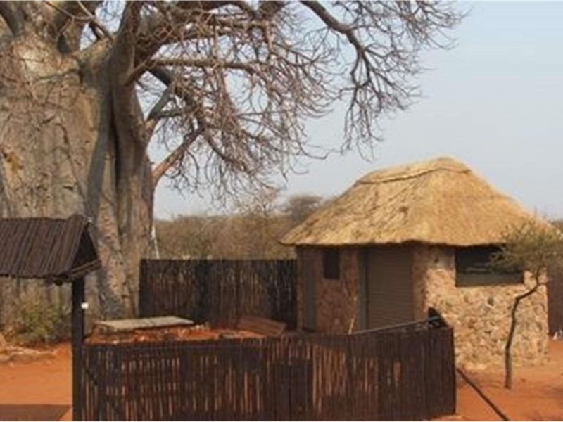 A rustic stone-walled structure with a traditional thatched roof, situated in a natural farm setting alongside a large baobab tree.