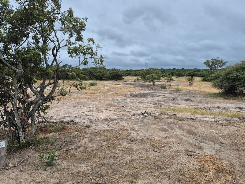 River stand in Moditlo Wildlife Estate with a variety of trees and open plains for optimal wildlife - Photo 6