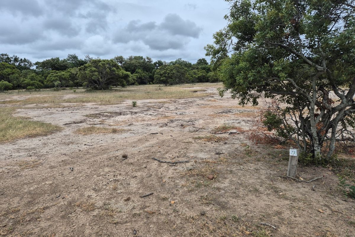 River stand in Moditlo Wildlife Estate with a variety of trees and open plains for optimal wildlife - Photo 5