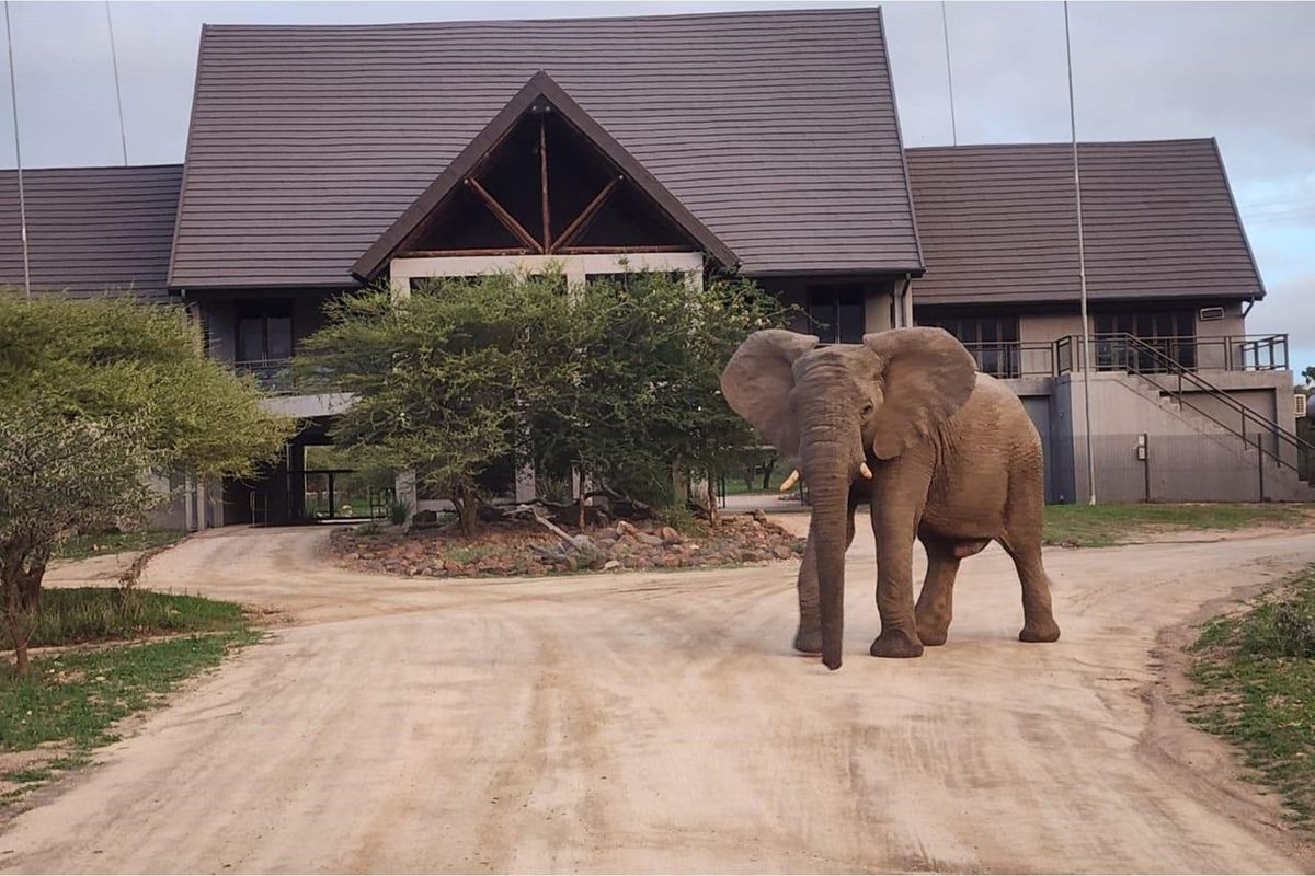 River stand in Moditlo Wildlife Estate with a variety of trees and open plains for optimal wildlife - Photo 4