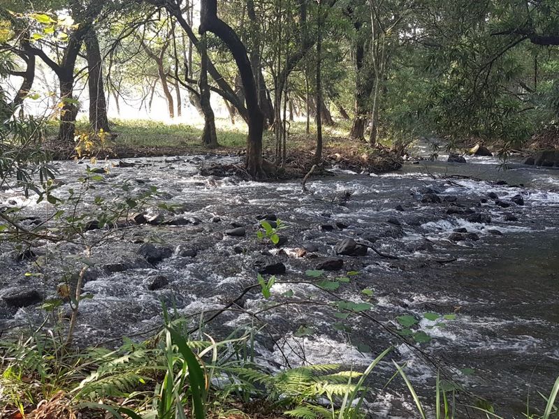 House For Sale in Alkmaar, Nelspruit - Photo 6