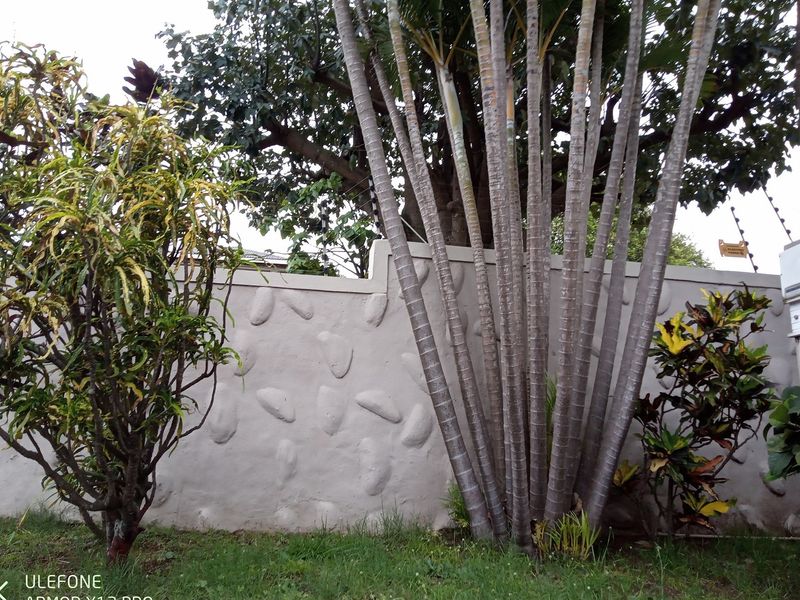 Walk into this beautiful home - Photo 5