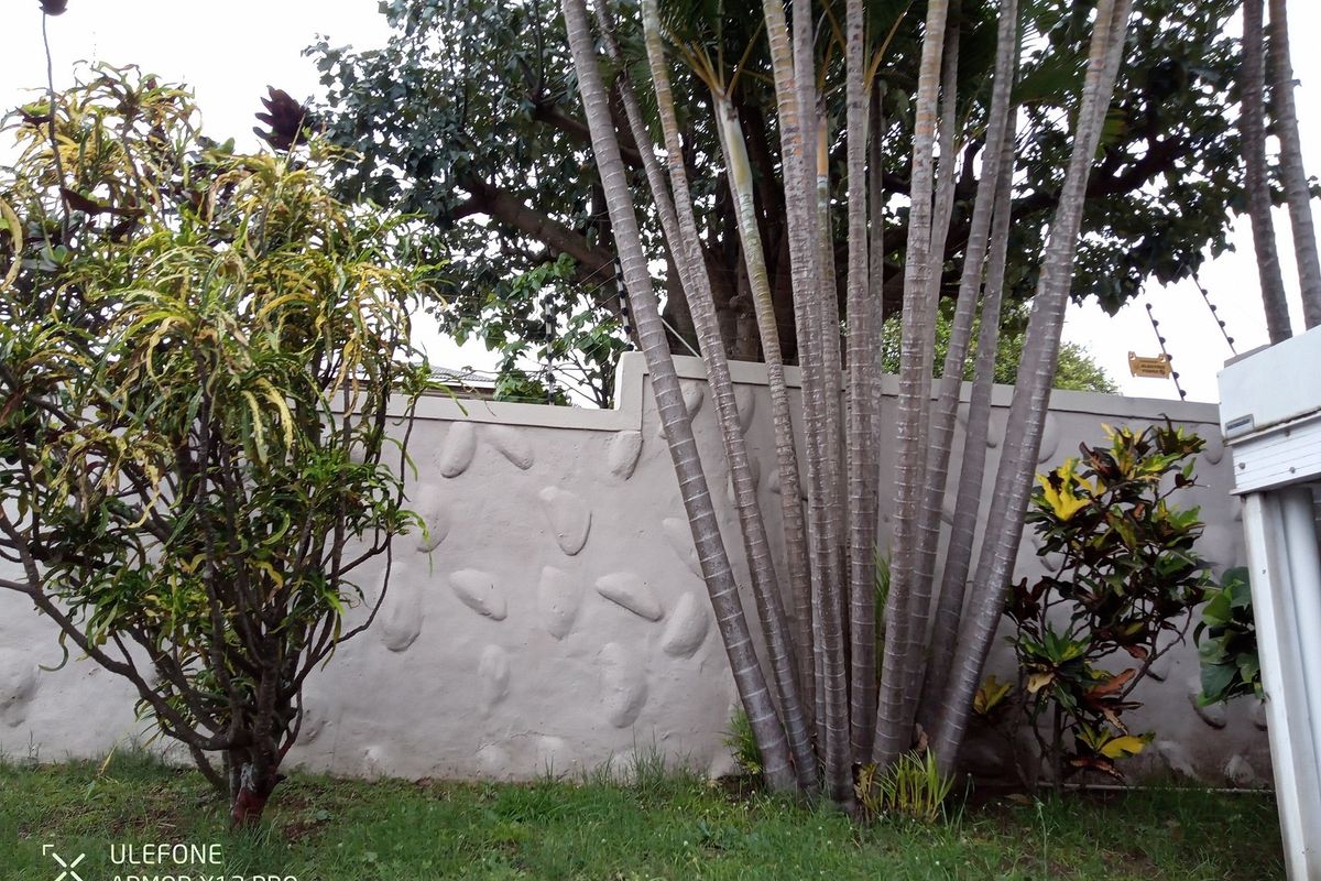 Walk into this beautiful home - Photo 5