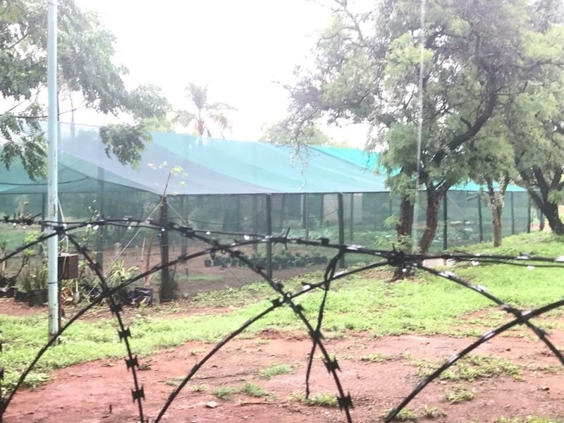 An outdoor agricultural area featuring a large shade cloth structure, surrounded by barbed wire fencing and mature trees on the farm property.
