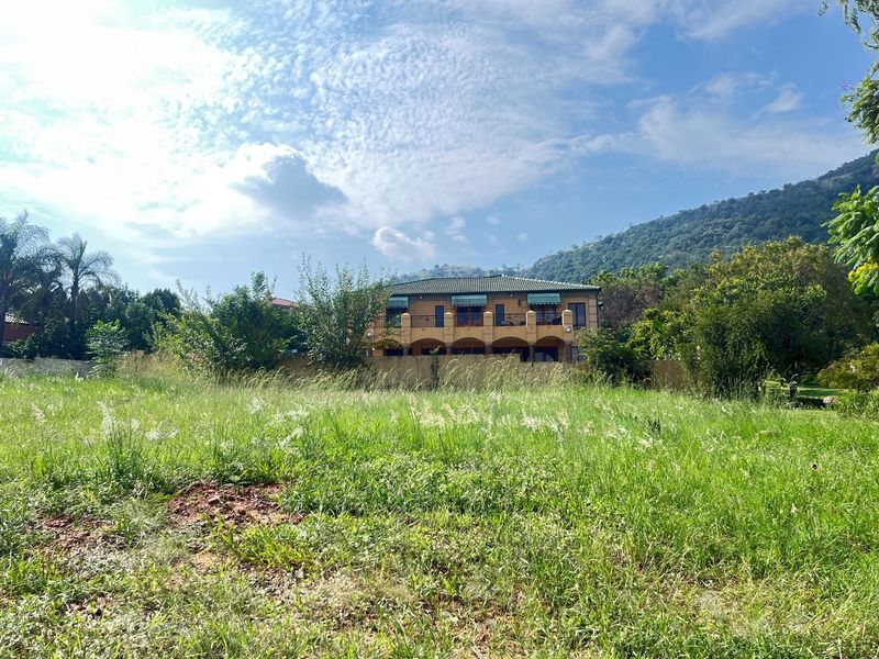 A view of a vacant residential plot with established greenery and a neighbouring property visible in the background.