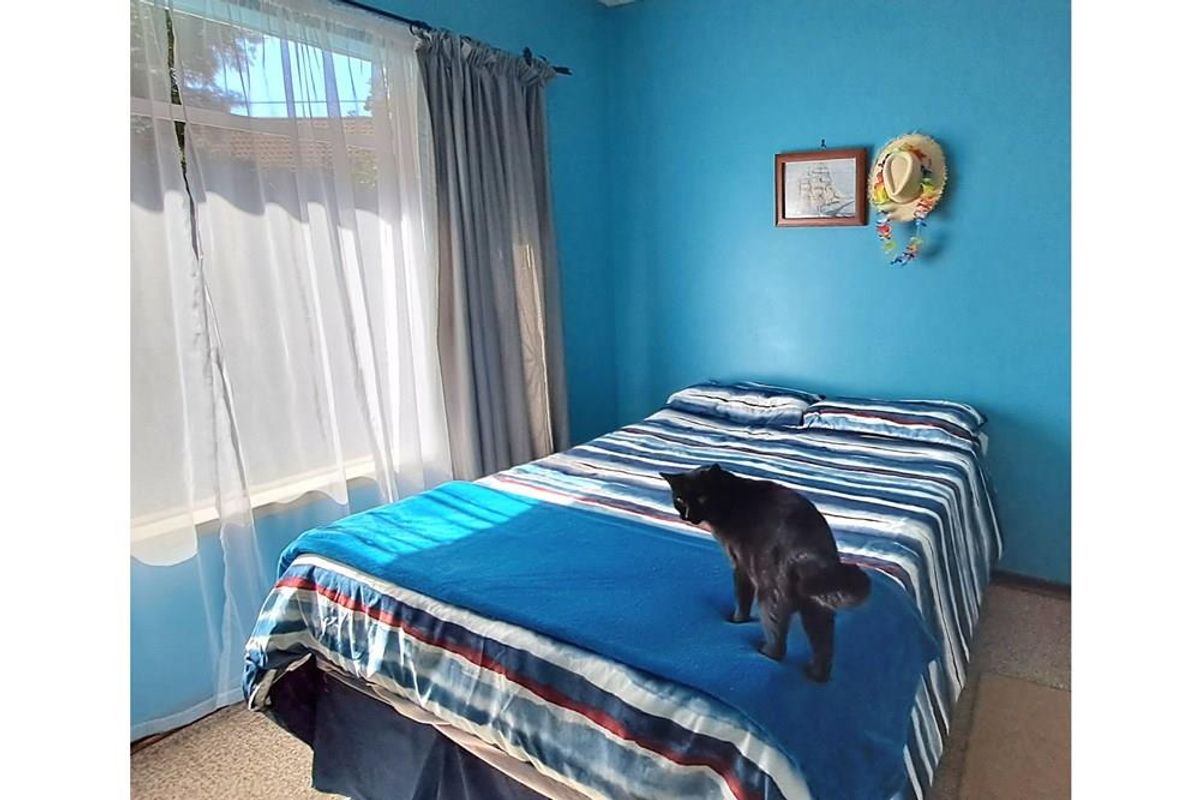 A bedroom featuring blue painted walls and a large window allowing natural light into the space.