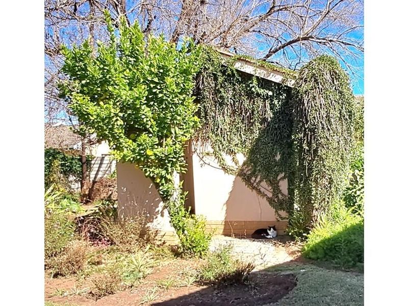 This fantastic spacious family house is situated in a quiet neighbourhood. - Photo 2