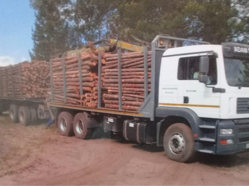 Exquisite and picturesque one-of-a-kind undeveloped 112 hectare farm near Mossel Bay - Photo 10