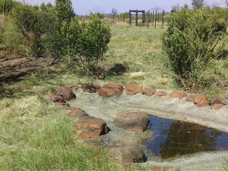 Exquisite and picturesque one-of-a-kind undeveloped 112 hectare farm near Mossel Bay - Photo 9