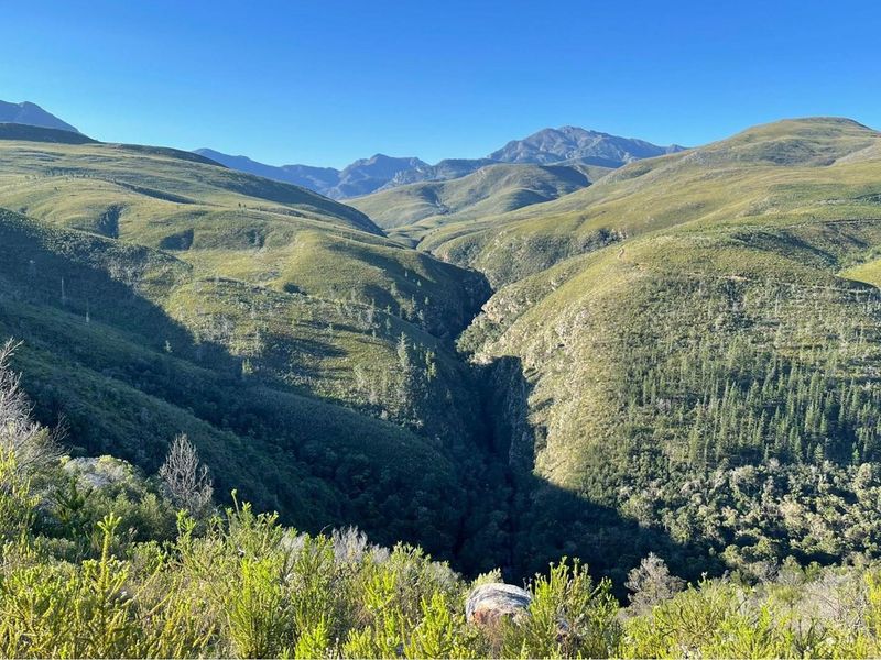 Exquisite and picturesque one-of-a-kind undeveloped 112 hectare farm near Mossel Bay - Photo 7