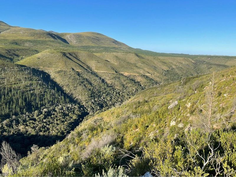 Exquisite and picturesque one-of-a-kind undeveloped 112 hectare farm near Mossel Bay - Photo 6