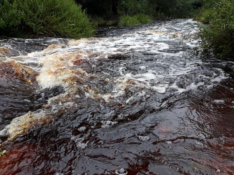 Exquisite and picturesque one-of-a-kind undeveloped 112 hectare farm near Mossel Bay - Photo 4
