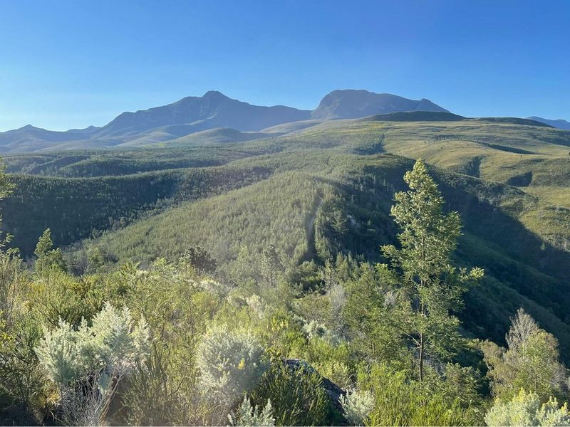 Exquisite and picturesque one-of-a-kind undeveloped 112 hectare farm near Mossel Bay - Photo 5