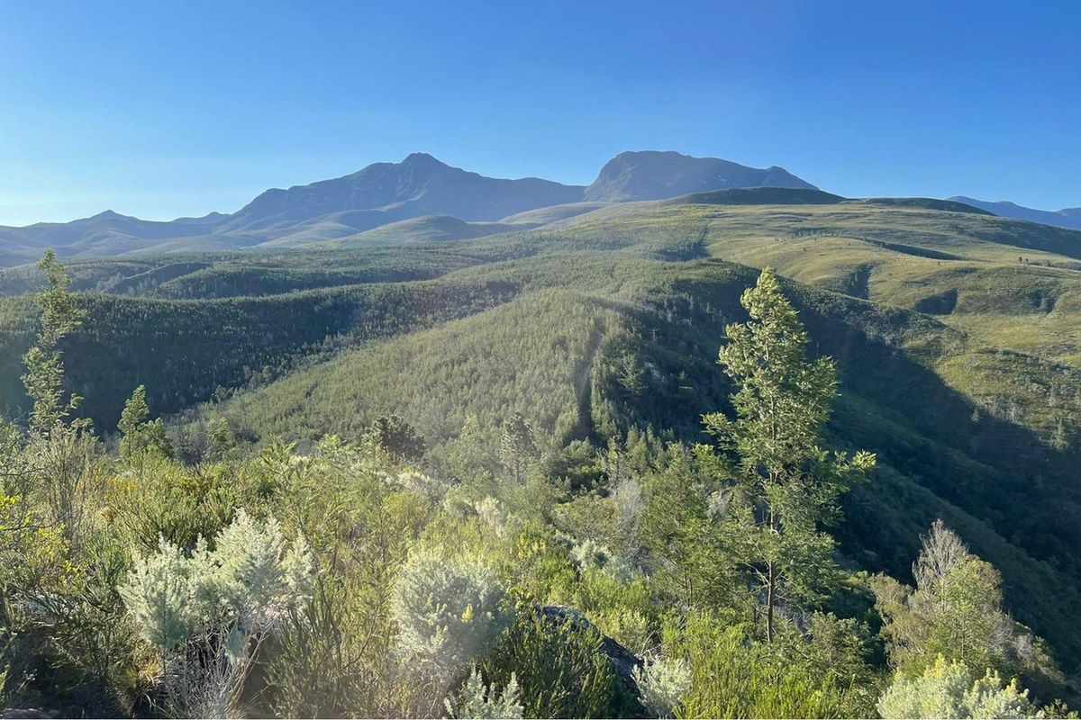 Exquisite and picturesque one-of-a-kind undeveloped 112 hectare farm near Mossel Bay - Photo 5