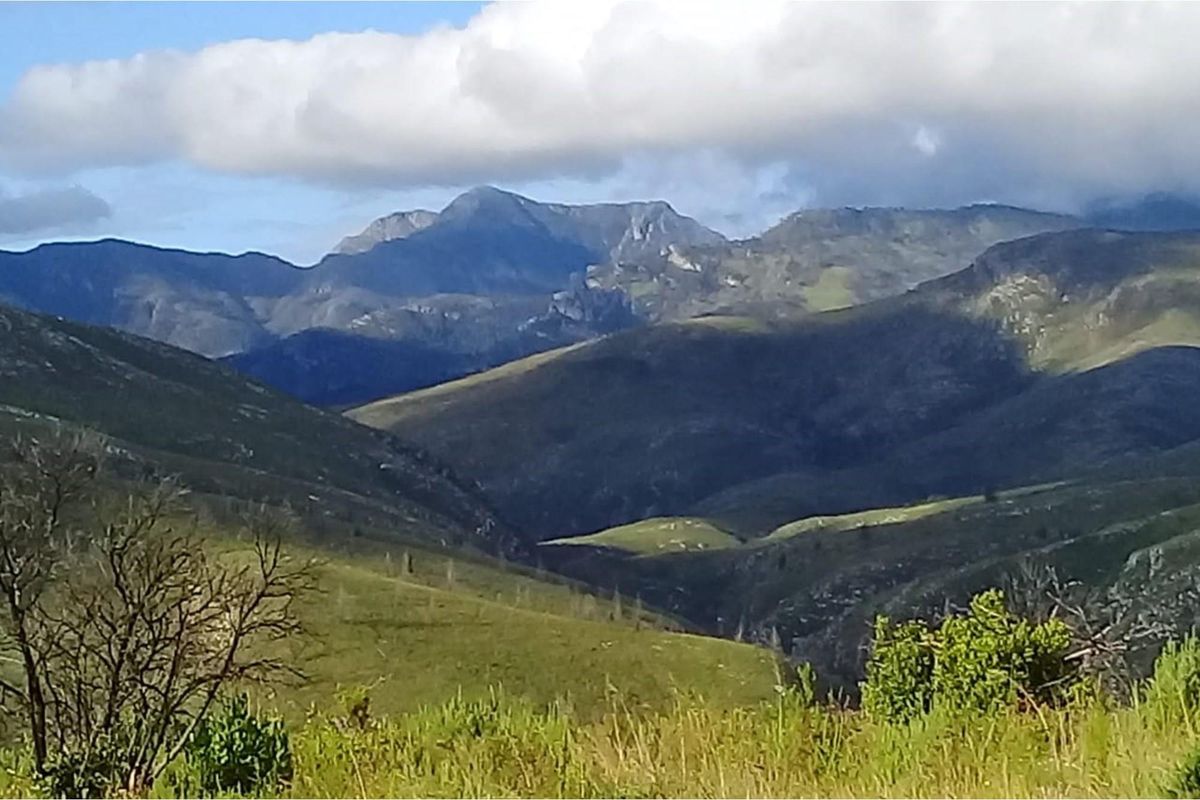 Exquisite and picturesque one-of-a-kind undeveloped 112 hectare farm near Mossel Bay - Photo 3