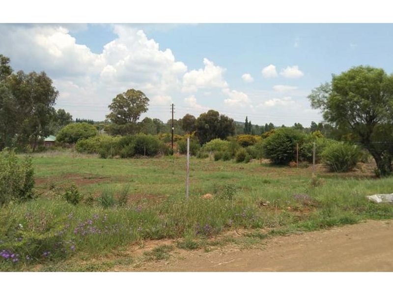 A vacant residential plot featuring natural vegetation, perimeter fencing, and a utility pole, offering a clear space for future development.