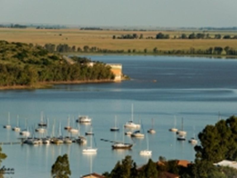 A scenic elevated view overlooking a large lake with numerous moored boats and surrounding natural landscape.