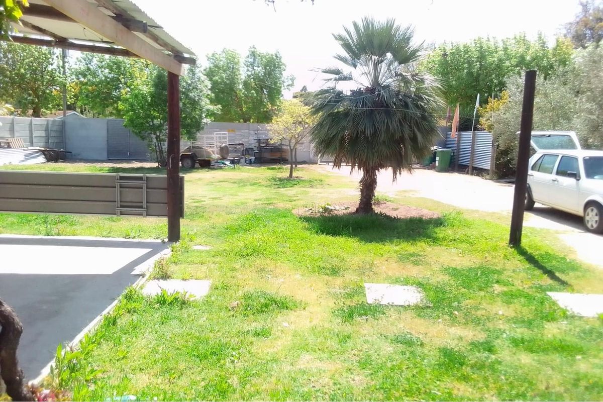 A spacious rear garden area featuring a covered patio structure, mature palm tree, and expansive lawn space with perimeter fencing.