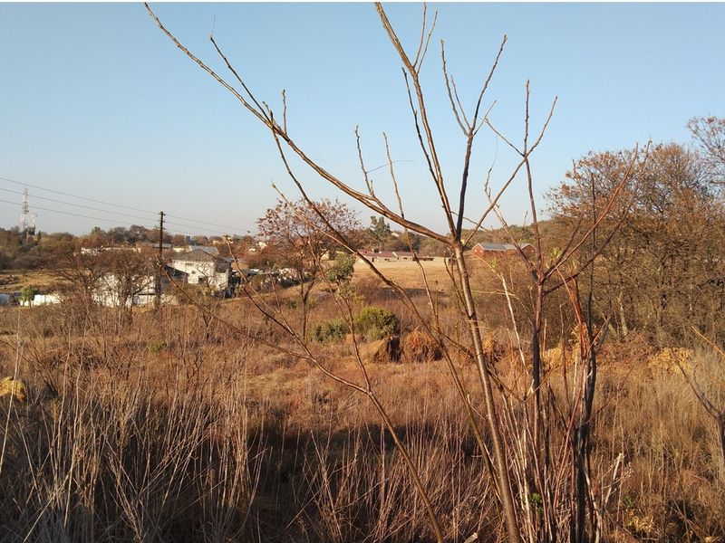 A view of the vacant residential land showing natural vegetation and surrounding neighborhood infrastructure in the distance.