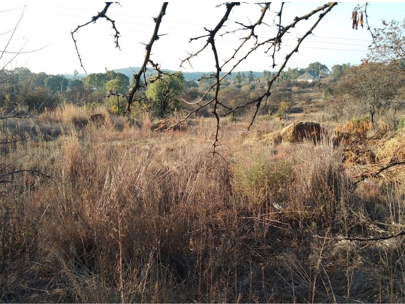 A view of the vacant residential land featuring natural vegetation, dry grass, and surrounding landscape.