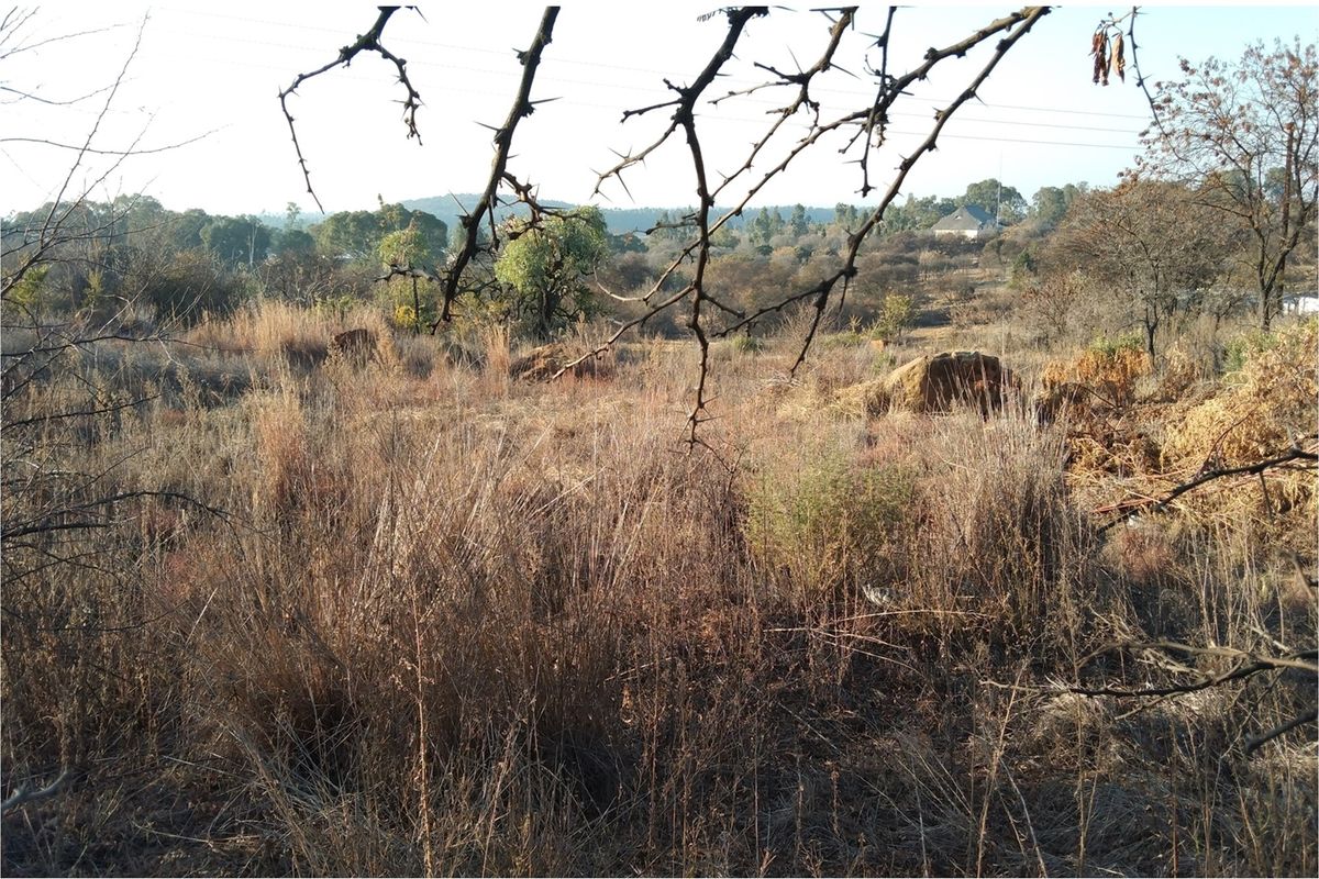 A view of the vacant residential land featuring natural vegetation, dry grass, and surrounding landscape.