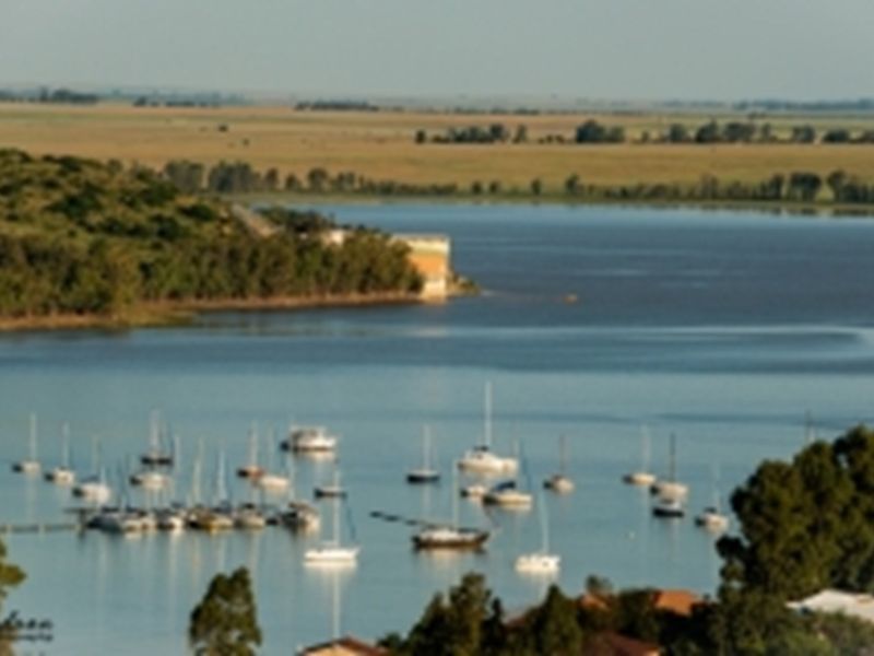 A scenic elevated view overlooking a large dam or lake with numerous sailboats moored in the water and surrounding natural landscape.