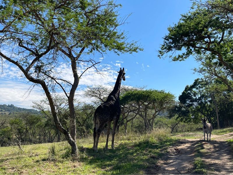 "Own Your Paradise at Wild Fig Country Estate" - Photo 10