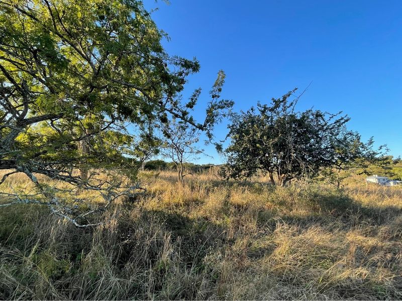 A view of the vacant residential land featuring established trees and natural grass cover.